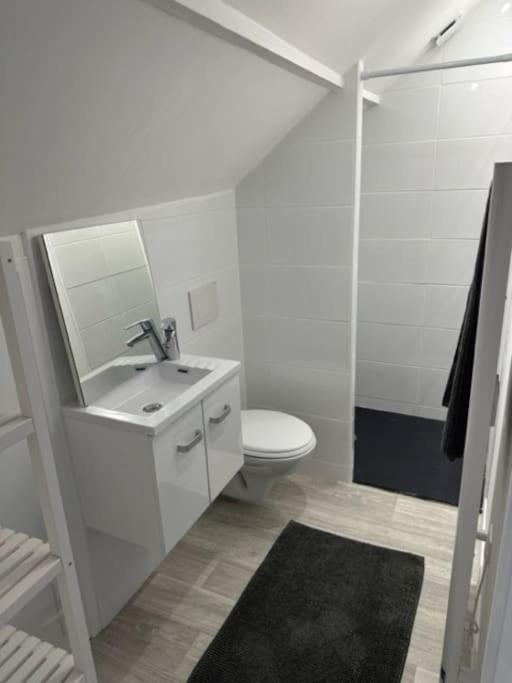 Centre 2eme Etage Apartment Lillebonne